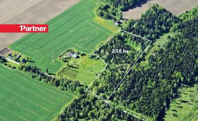 Pilte 2.6 ha metsamaad Tamsalu linna lähedal!