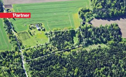 Pilte 2.6 ha metsamaad Tamsalu linna lähedal!