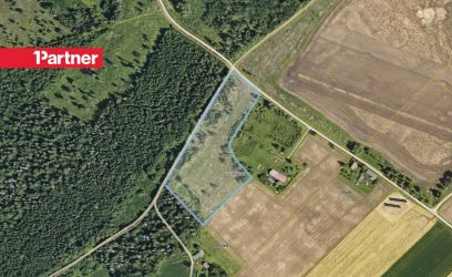 Pilte 2.6 ha metsamaad Tamsalu linna lähedal!