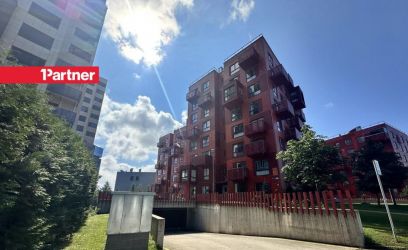 Pilte Valgusküllane perekorter mere lähedal