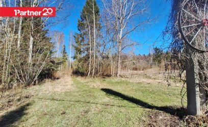 Pilte Detailplaneeringuga elamukrunt Aegviidus!