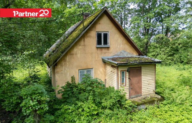 картина 7 of 11