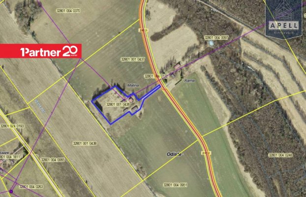 картина 45 of 46