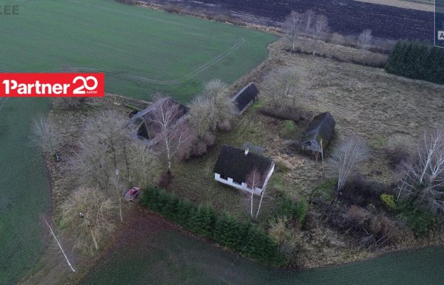 картина 4 of 46