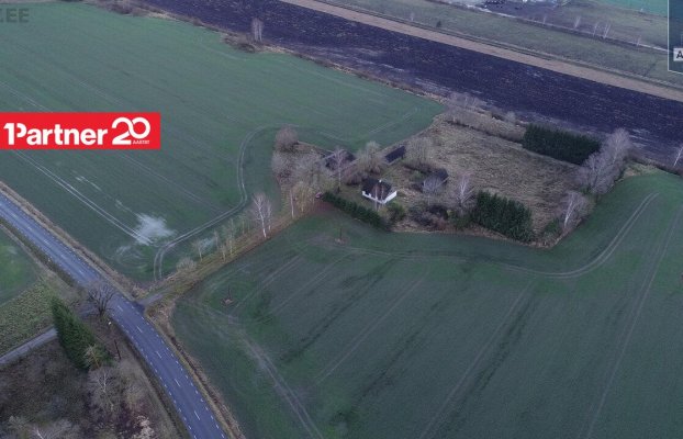 картина 5 of 46