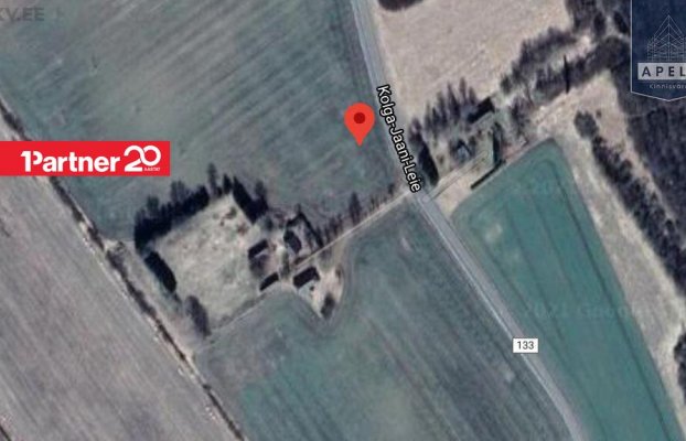 картина 46 of 46