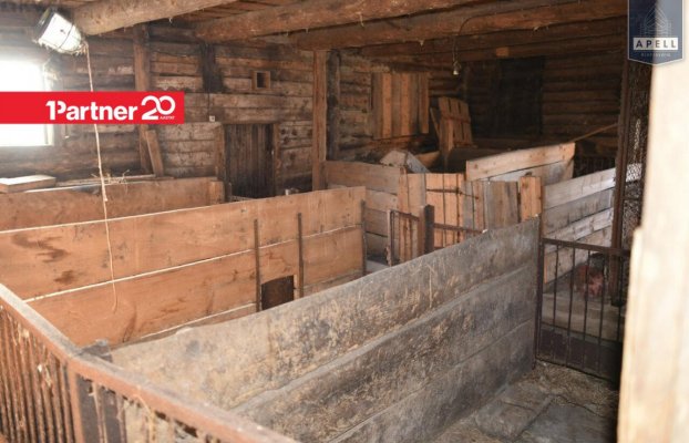 картина 11 of 46