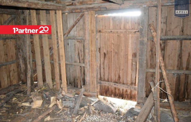 картина 24 of 46