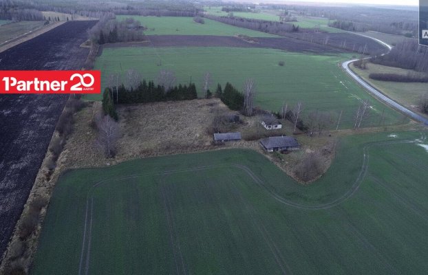 картина 7 of 46