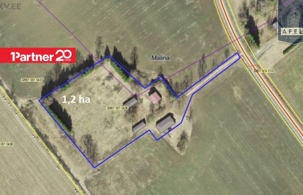 картина 44 of 46