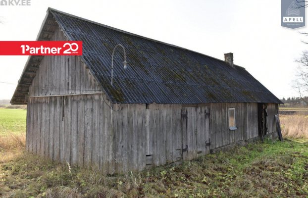 картина 19 of 46