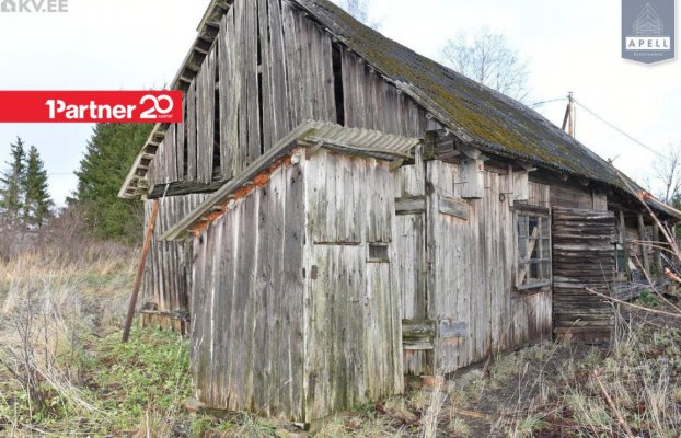 картина 27 of 46