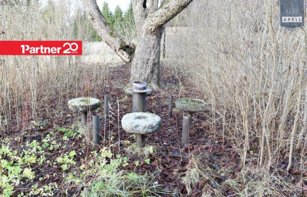 картина 25 of 46