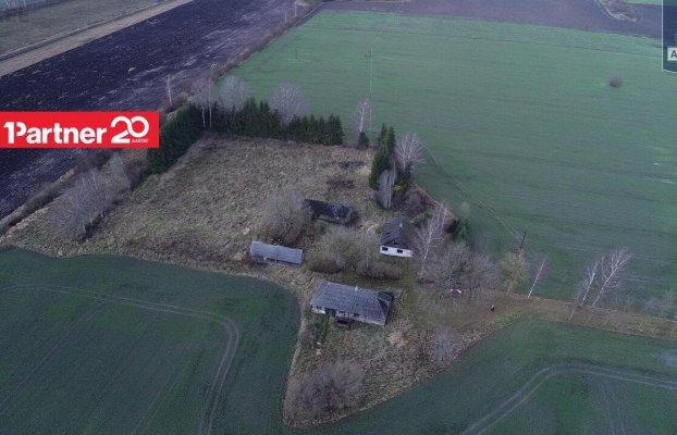 картина 6 of 46