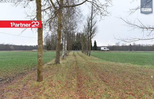 картина 43 of 46