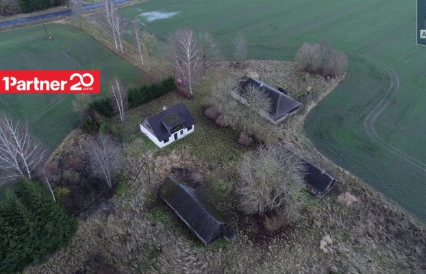 картина 8 of 46