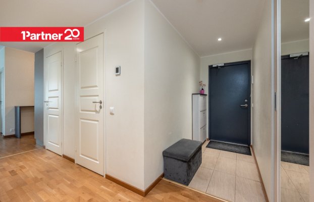 картина 5 of 33