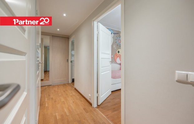 картина 24 of 33