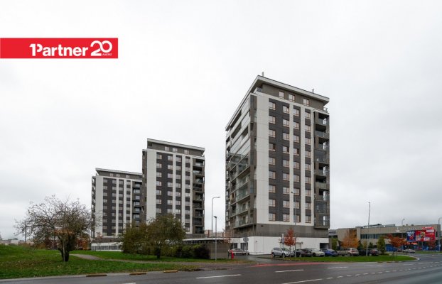 картина 31 of 33