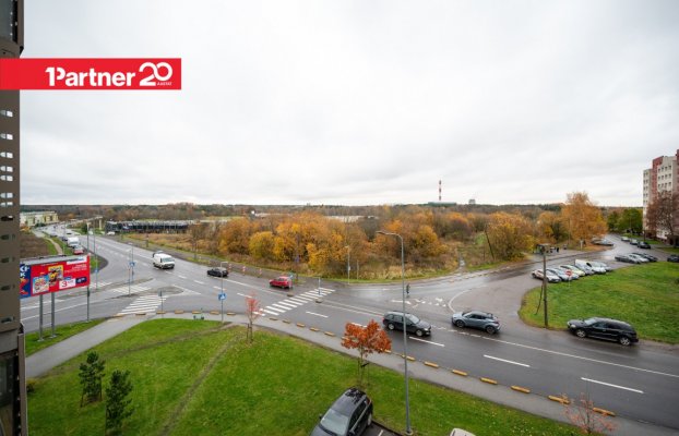 картина 25 of 33