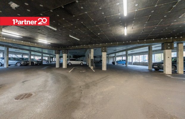 картина 29 of 33