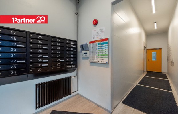 картина 4 of 33