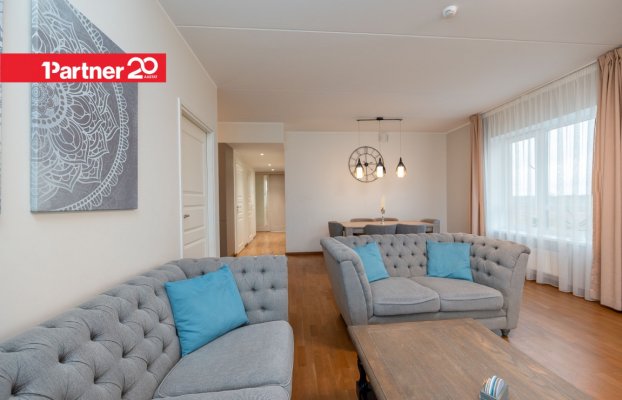 картина 19 of 33