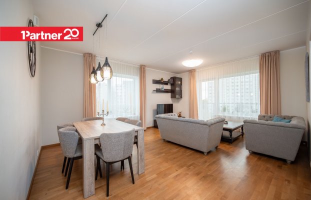 картина 13 of 33