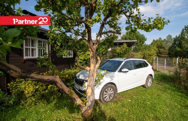 картина 16 of 38