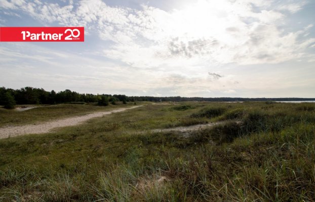 картина 35 of 38