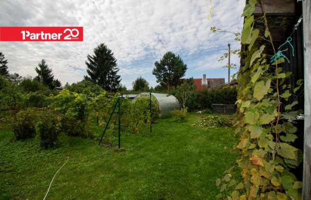 картина 7 of 38