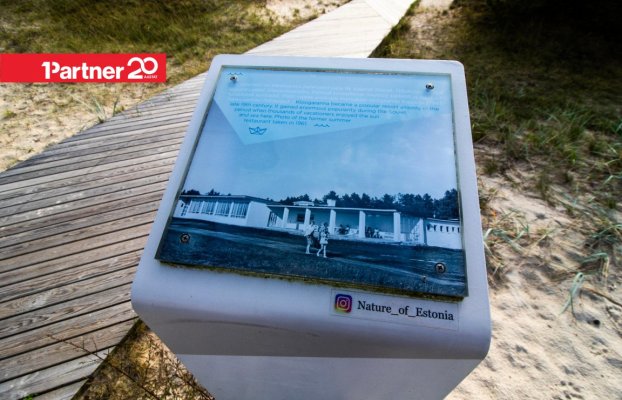 картина 36 of 38