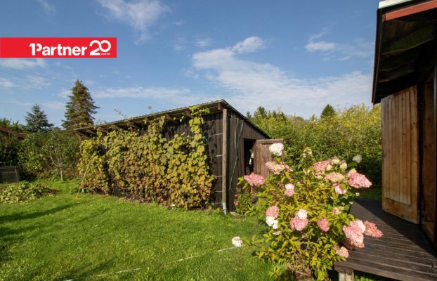 картина 12 of 38