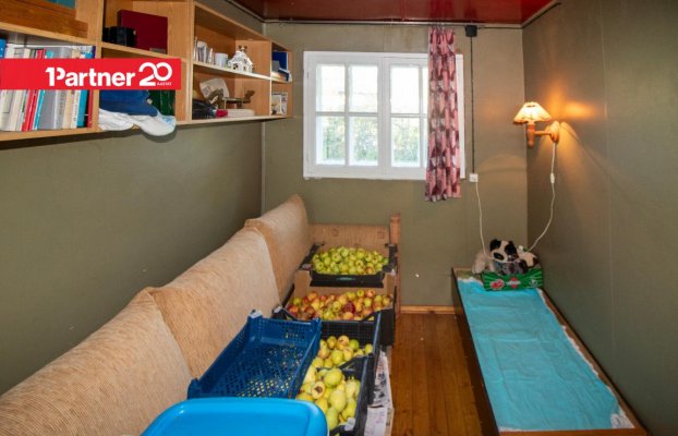 картина 14 of 38