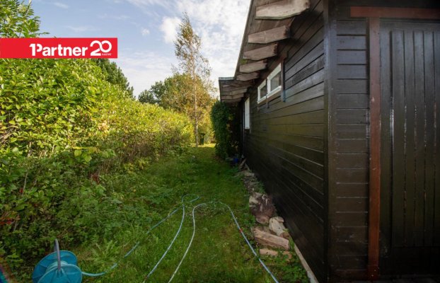 картина 13 of 38