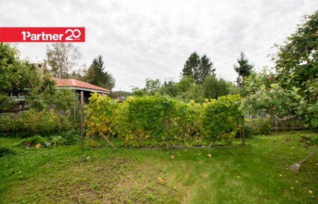 картина 2 of 38