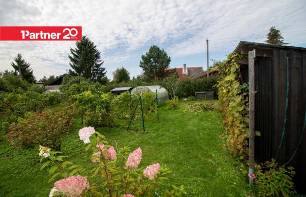 картина 6 of 38