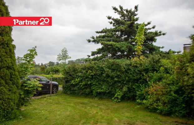 картина 14 of 47