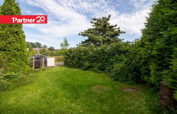 картина 38 of 47