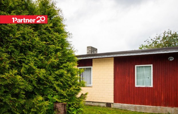 картина 13 of 47