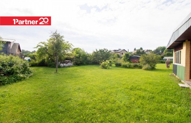 картина 37 of 47