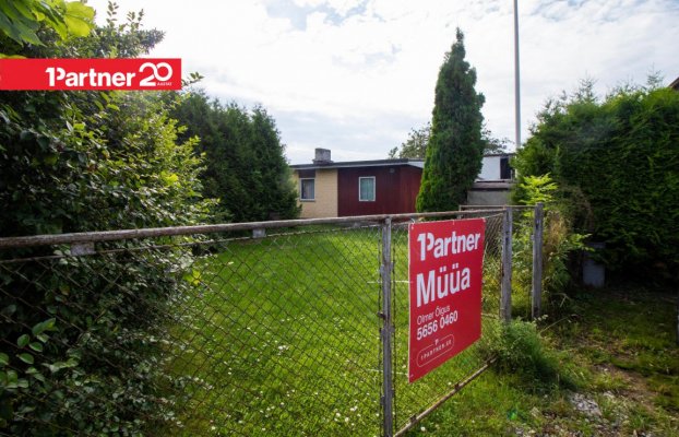 картина 40 of 47