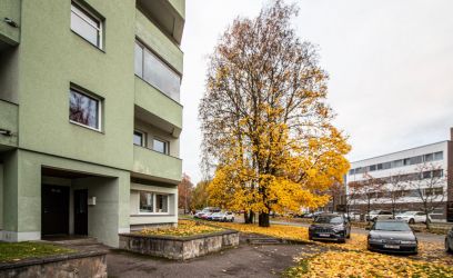 Image of Päikseline ja privaatne korter rohelises keskkonnas