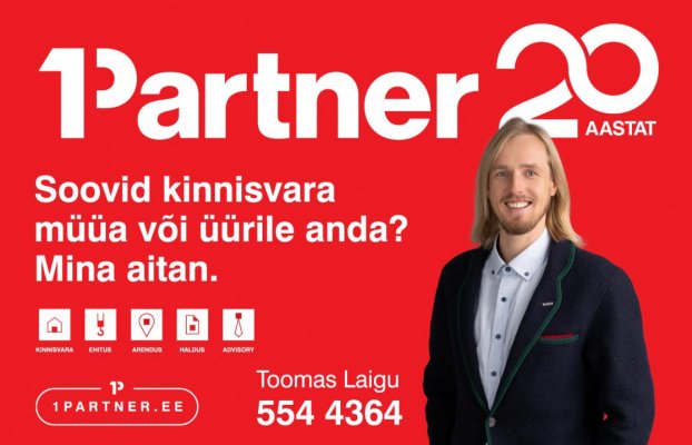 картина 21 of 21