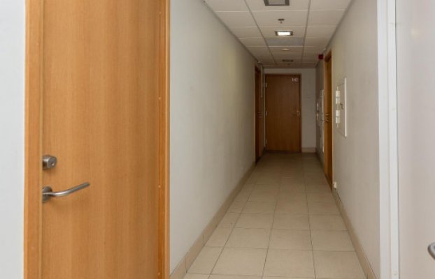 картина 13 of 21