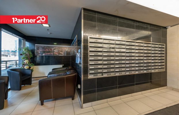 картина 16 of 21