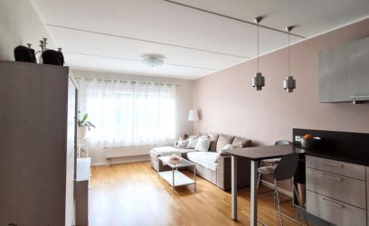 Image of RÕDUGA KORTER METSAÄÄRSES RAJOONIS! PARKIMINE KINNISES HOOVIS!