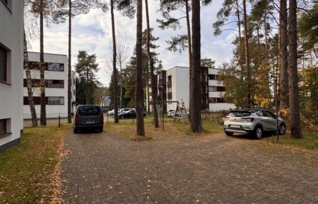 картина 16 of 17