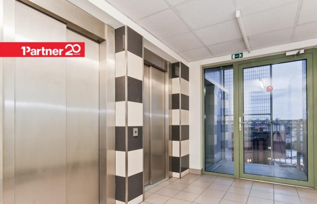 картина 11 of 34