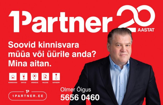 картина 13 of 13